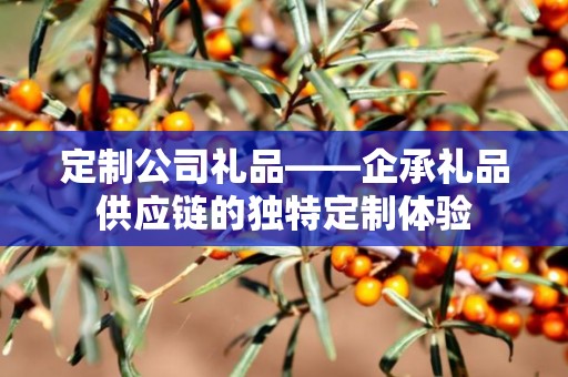 定制公司礼品——企承礼品供应链的独特定制体验